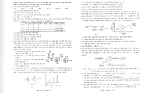 生物正文_2025年12月高一试卷_251215辽宁省名校联盟2025-2026学年高一上学期12月联合考试（全）_辽宁省名校联盟2025-2026学年高一上学期12月联合考试生物试卷含答案