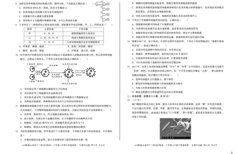 生物（A卷）A10联盟＆宿州十三校2025级高一上学期11月期中质量检测生物学A_2025年11月高一试卷_251124安徽省A10联盟＆宿州十三校2025级高一上学期11月期中质量检测（全）