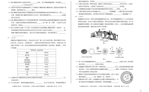 生物（A卷）A10联盟＆宿州十三校2025级高一上学期11月期中质量检测生物学A_2025年11月高一试卷_251124安徽省A10联盟＆宿州十三校2025级高一上学期11月期中质量检测（全）