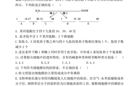 生物试卷及答案&mdash;&mdash;河南省郑州市第一中学2025~2026学年高一上学期期中考试_2025年11月高一试卷_251118河南省郑州市第一中学2025~2026学年高一上学期期中考试（全）