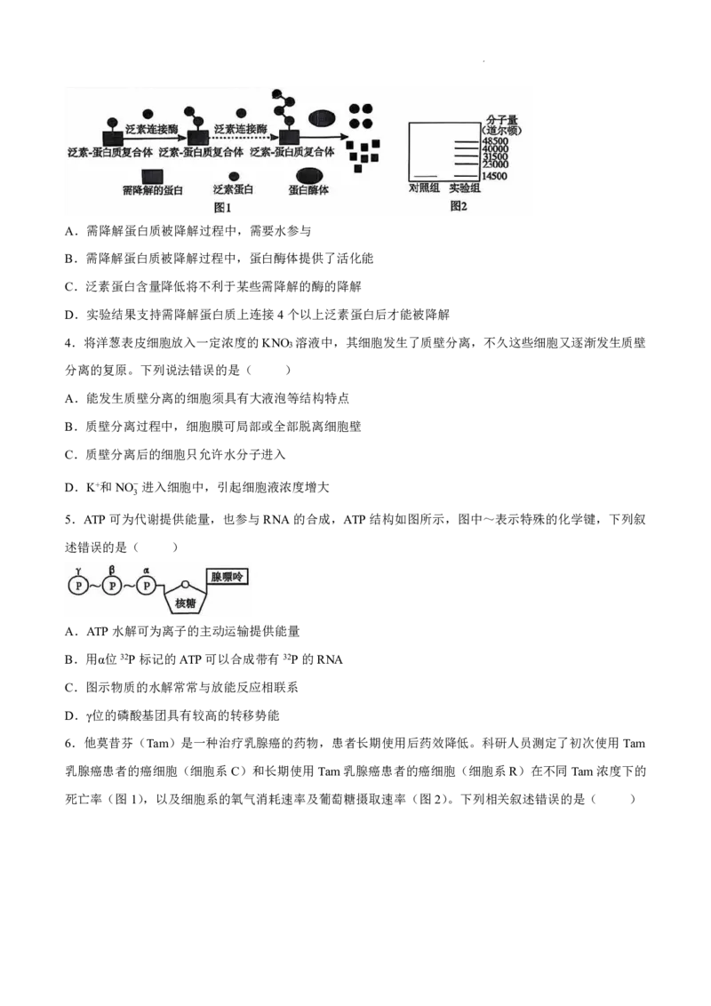 生物-湖南雅礼中学2026年上学期高一第一次质量检测_2026年04月高一试卷_260401湖南雅礼中学2026年上学期高一第一次质量检测