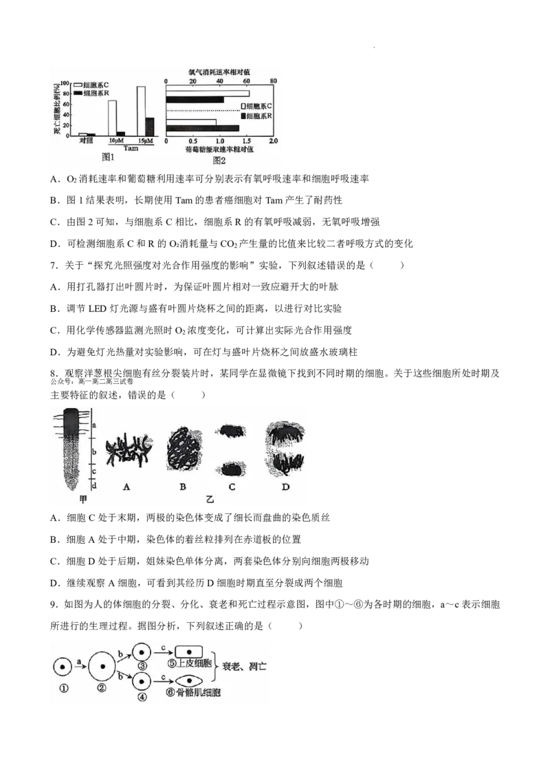生物-湖南雅礼中学2026年上学期高一第一次质量检测_2026年04月高一试卷_260401湖南雅礼中学2026年上学期高一第一次质量检测