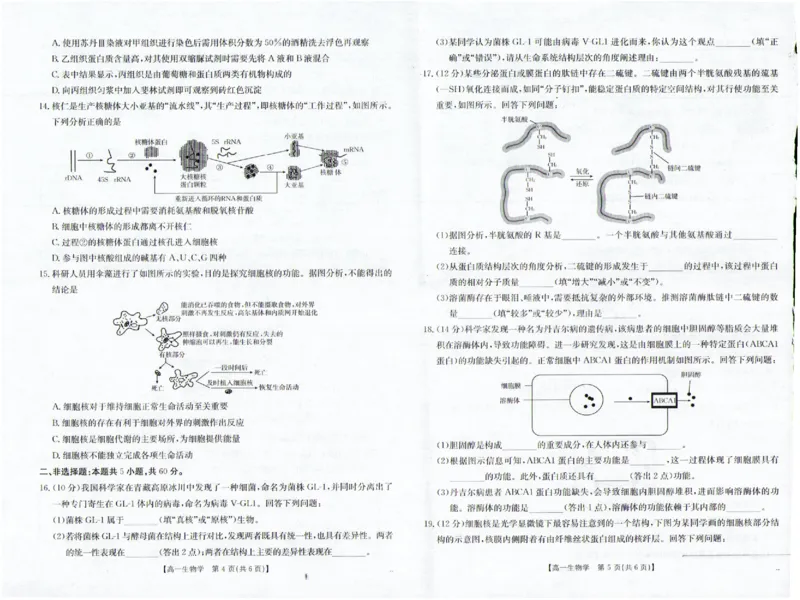 生物_2025年12月高一试卷_251216金太阳&middot;福建省南平市2025&mdash;2026学年高一第一学期期中质量检测（全）_福建省南平市2025-2026学年高一上学期半期联考（期中）生物