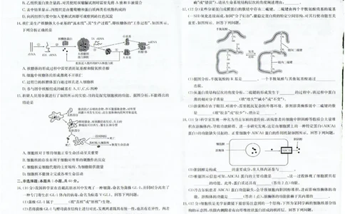 生物_2025年12月高一试卷_251216金太阳&middot;福建省南平市2025&mdash;2026学年高一第一学期期中质量检测（全）_福建省南平市2025-2026学年高一上学期半期联考（期中）生物
