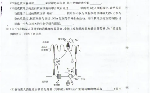 生物_2025年12月高一试卷_251216金太阳&middot;福建省南平市2025&mdash;2026学年高一第一学期期中质量检测（全）_福建省南平市2025-2026学年高一上学期半期联考（期中）生物