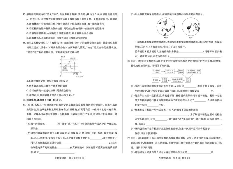 生物学湖南高一12月测_2025年12月高一试卷_251227湖南省、广西省湘一联盟2025-2026学年高一上学期12月月考（全）