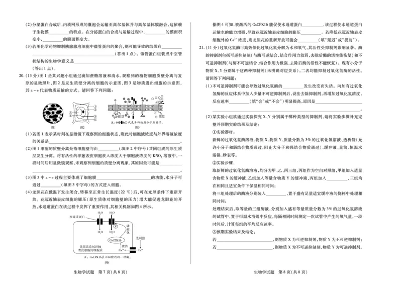 生物学湖南高一12月测_2025年12月高一试卷_251227湖南省、广西省湘一联盟2025-2026学年高一上学期12月月考（全）