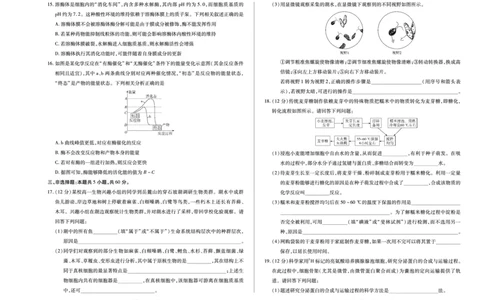 生物学湖南高一12月测_2025年12月高一试卷_251227湖南省、广西省湘一联盟2025-2026学年高一上学期12月月考（全）