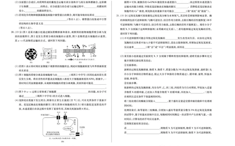 生物学湖南高一12月测_2025年12月高一试卷_251227湖南省、广西省湘一联盟2025-2026学年高一上学期12月月考（全）