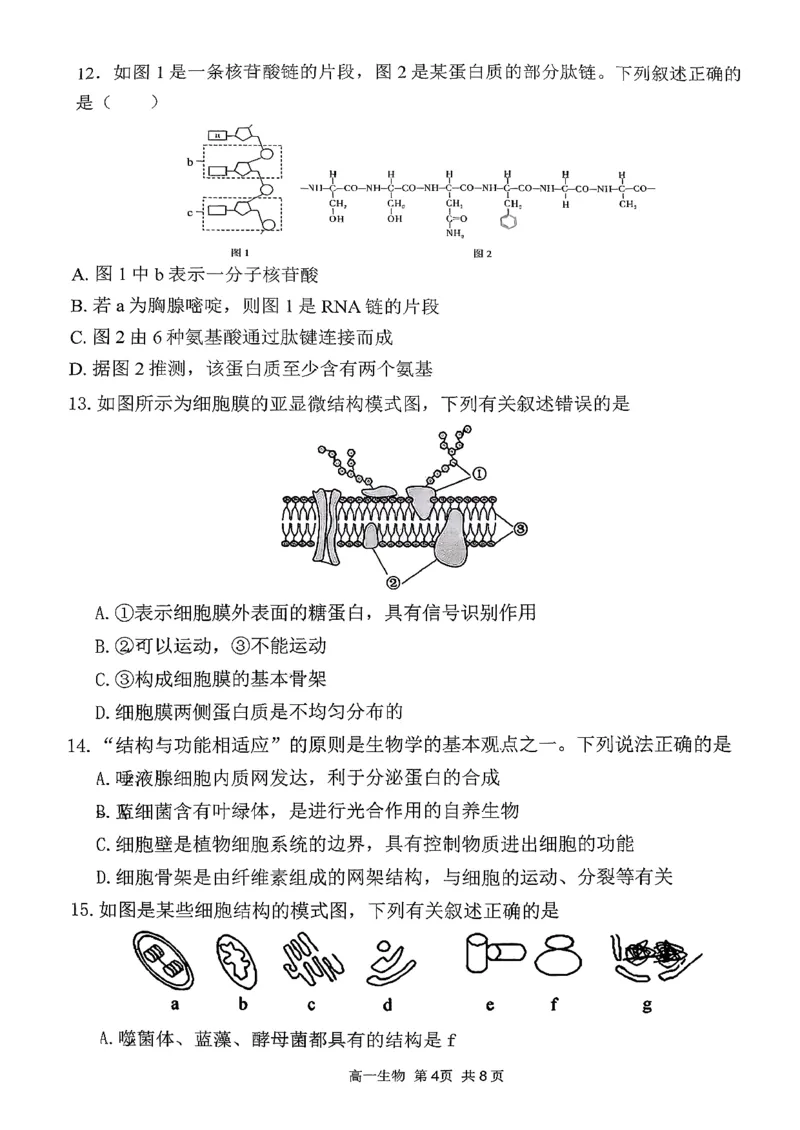 生物三金联盟高一年级上学期第一次联合考试_2025年11月高一试卷_251121山西省吕梁市三金联盟2025-2026学年高一上学期第一次联合考试（期中）