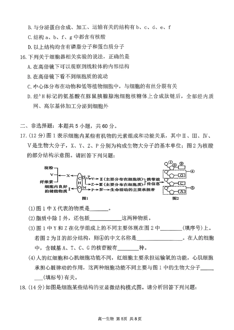 生物三金联盟高一年级上学期第一次联合考试_2025年11月高一试卷_251121山西省吕梁市三金联盟2025-2026学年高一上学期第一次联合考试（期中）