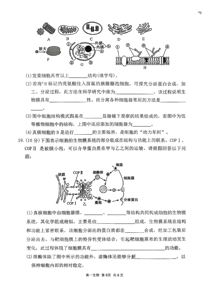 生物三金联盟高一年级上学期第一次联合考试_2025年11月高一试卷_251121山西省吕梁市三金联盟2025-2026学年高一上学期第一次联合考试（期中）