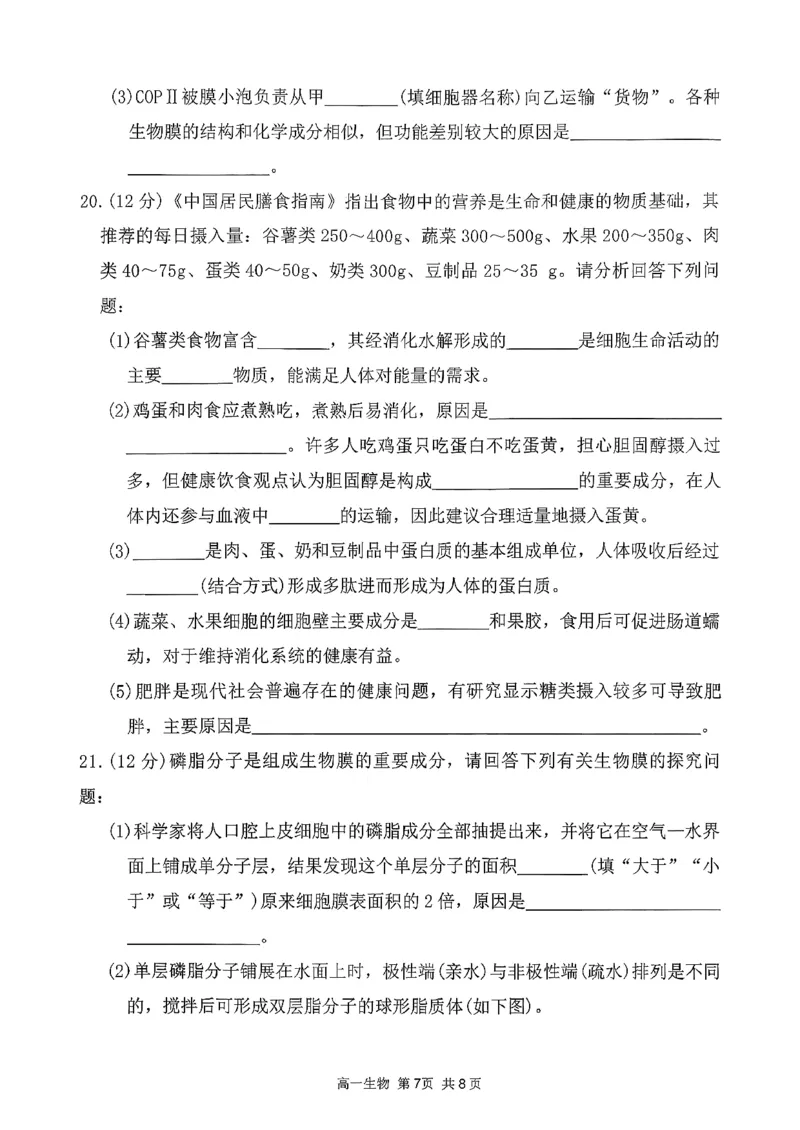 生物三金联盟高一年级上学期第一次联合考试_2025年11月高一试卷_251121山西省吕梁市三金联盟2025-2026学年高一上学期第一次联合考试（期中）