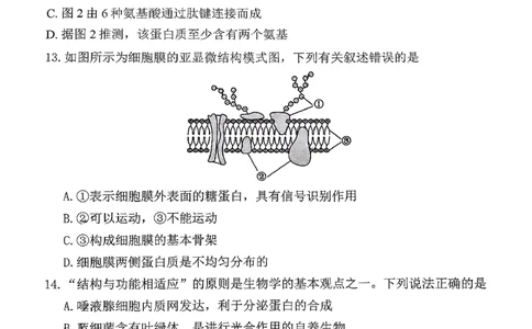 生物三金联盟高一年级上学期第一次联合考试_2025年11月高一试卷_251121山西省吕梁市三金联盟2025-2026学年高一上学期第一次联合考试（期中）