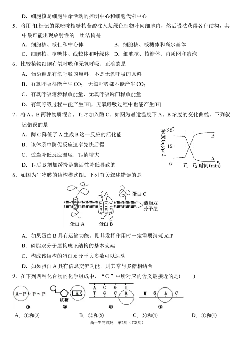 生物试题_2024年12月试卷_1222四川省南充市嘉陵一中2024-2025学年高一上学期12月月考_四川省南充市嘉陵一中2024-2025学年高一上学期12月月考生物试题Word版含答案
