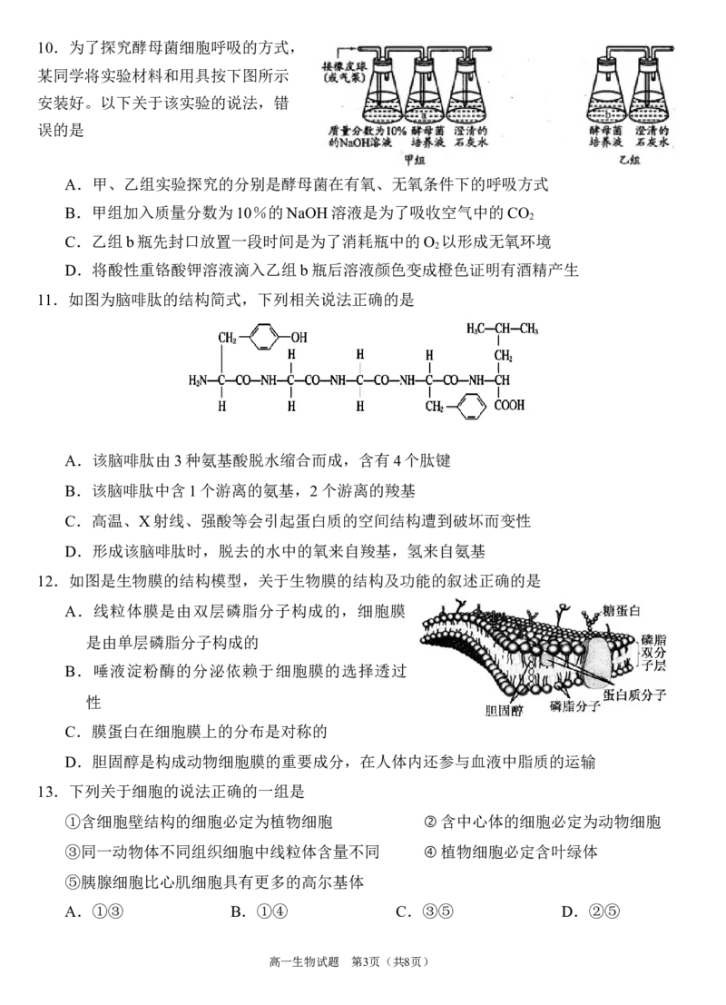 生物试题_2024年12月试卷_1222四川省南充市嘉陵一中2024-2025学年高一上学期12月月考_四川省南充市嘉陵一中2024-2025学年高一上学期12月月考生物试题Word版含答案