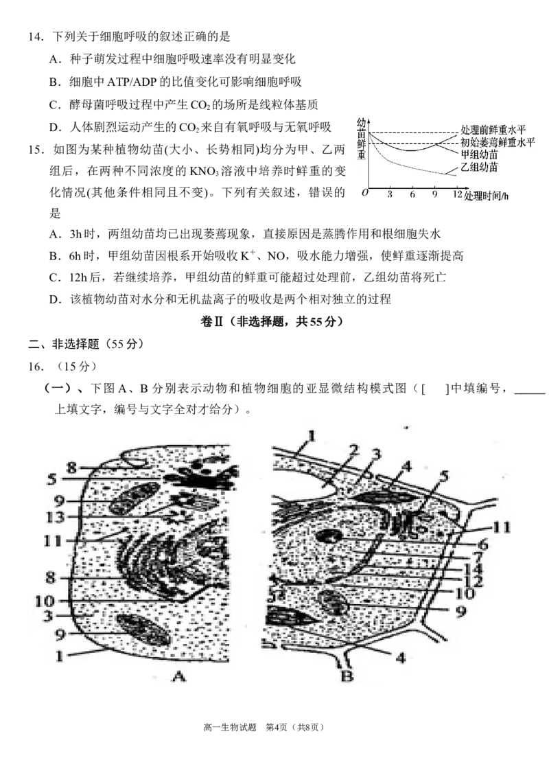 生物试题_2024年12月试卷_1222四川省南充市嘉陵一中2024-2025学年高一上学期12月月考_四川省南充市嘉陵一中2024-2025学年高一上学期12月月考生物试题Word版含答案