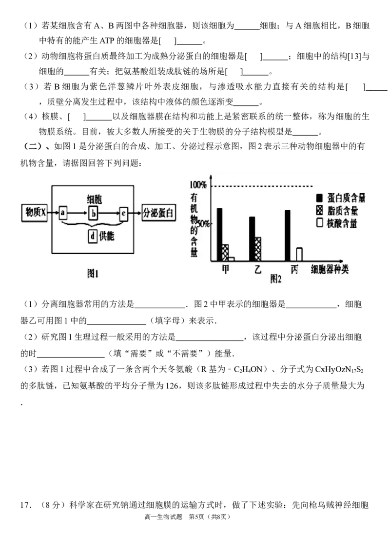 生物试题_2024年12月试卷_1222四川省南充市嘉陵一中2024-2025学年高一上学期12月月考_四川省南充市嘉陵一中2024-2025学年高一上学期12月月考生物试题Word版含答案