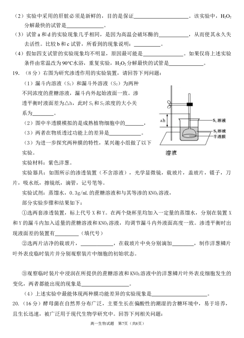 生物试题_2024年12月试卷_1222四川省南充市嘉陵一中2024-2025学年高一上学期12月月考_四川省南充市嘉陵一中2024-2025学年高一上学期12月月考生物试题Word版含答案