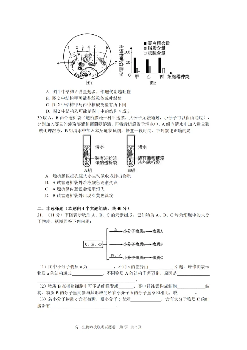 生物卷-2510高一浙江六校_2025年10月高一试卷_251013浙江省六校联盟2025-2026学年高一上学期10月月考_浙江省六校联盟2025-2026学年高一上学期10月月考生物试题（含答案）