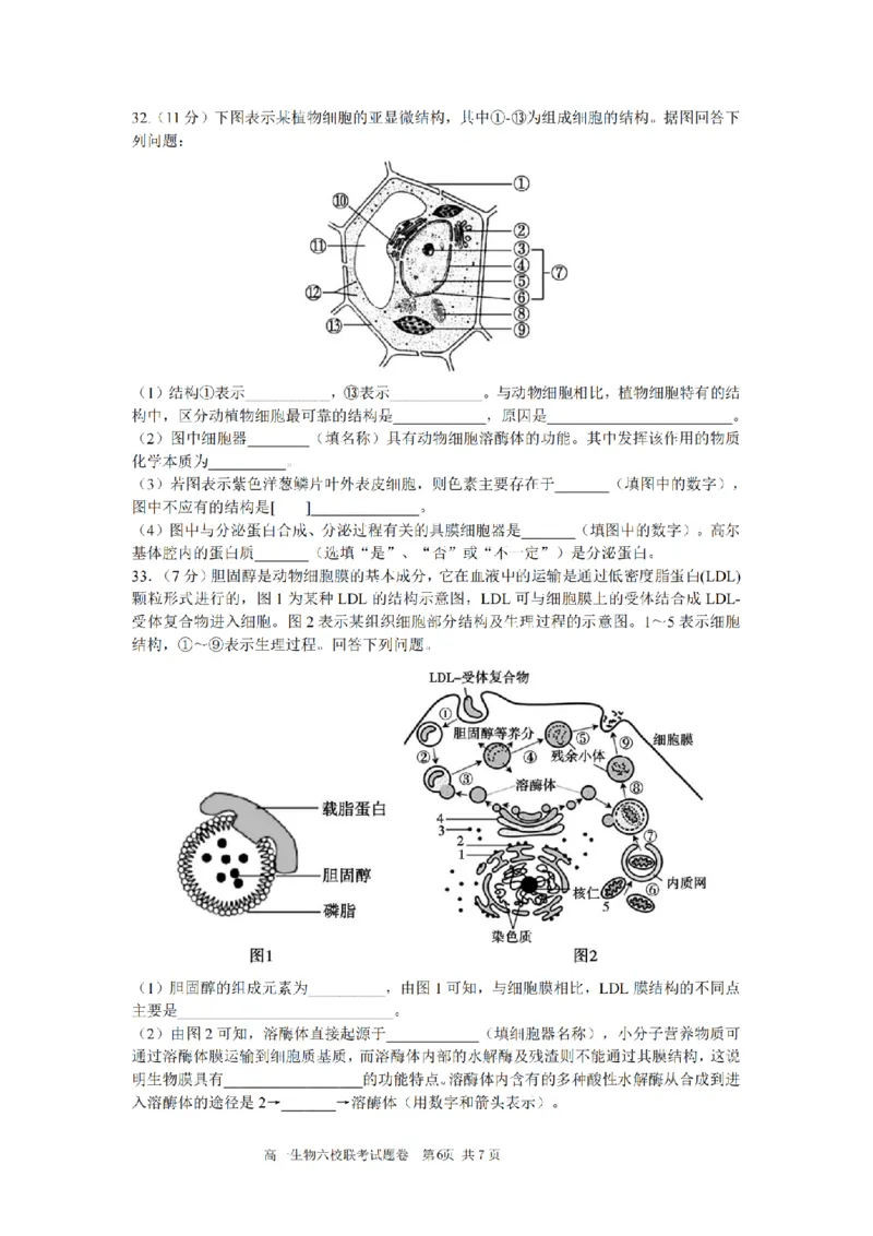 生物卷-2510高一浙江六校_2025年10月高一试卷_251013浙江省六校联盟2025-2026学年高一上学期10月月考_浙江省六校联盟2025-2026学年高一上学期10月月考生物试题（含答案）