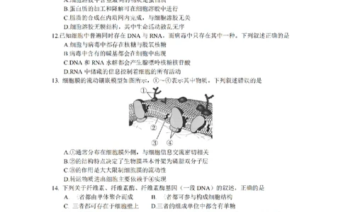 生物卷-2510高一浙江六校_2025年10月高一试卷_251013浙江省六校联盟2025-2026学年高一上学期10月月考_浙江省六校联盟2025-2026学年高一上学期10月月考生物试题（含答案）
