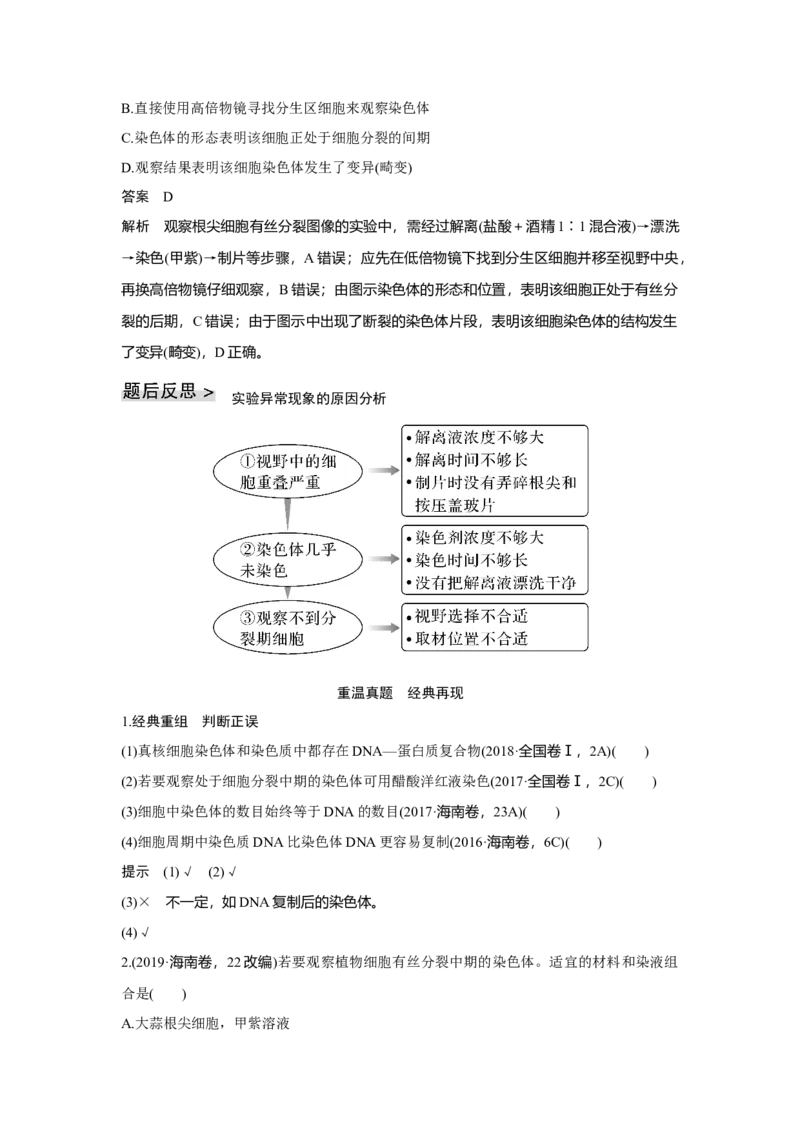 第10讲　细胞的增殖_新高考复习资料_2023年新高考复习资料_一轮复习_2023年新高考大一轮复习讲义_2023年高考生物一轮复习讲义（新人教新高考）_赠补充习题_Word版题库第二~六单元