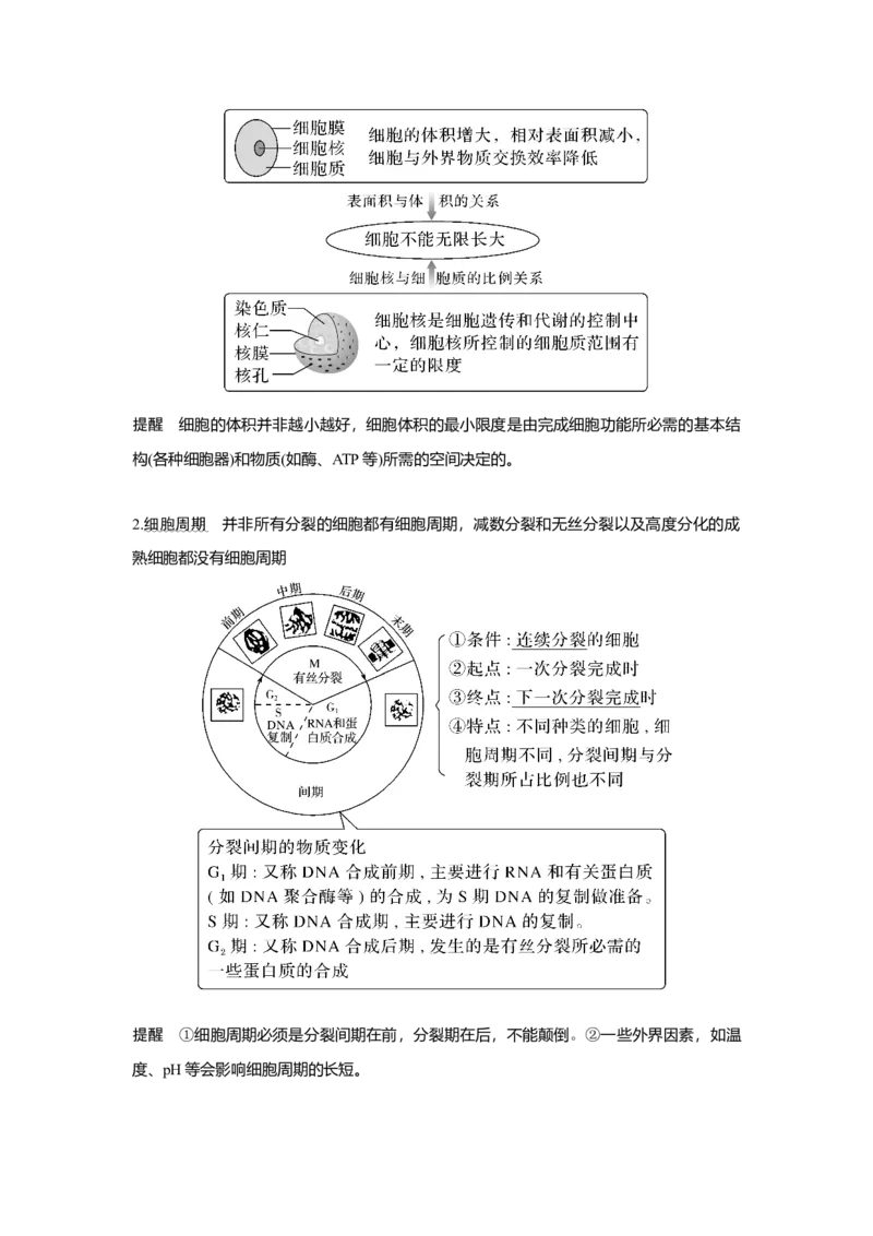 第10讲　细胞的增殖_新高考复习资料_2023年新高考复习资料_一轮复习_2023年新高考大一轮复习讲义_2023年高考生物一轮复习讲义（新人教新高考）_赠补充习题_Word版题库第二~六单元