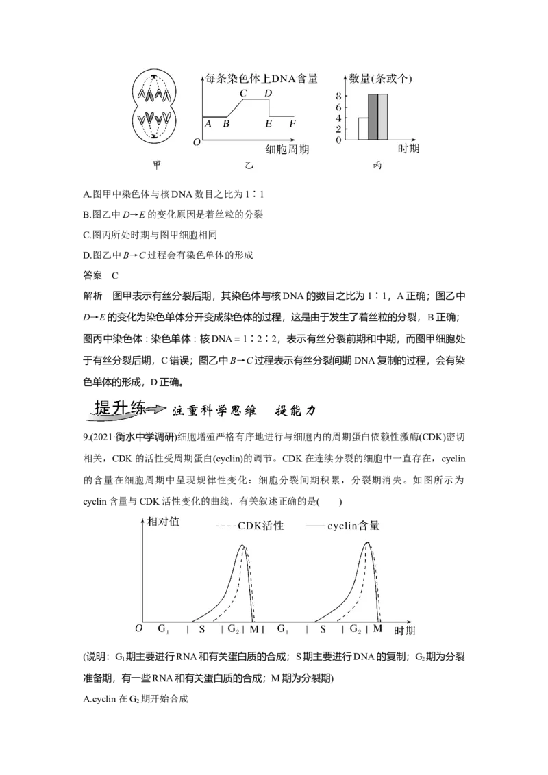第10讲　细胞的增殖_新高考复习资料_2023年新高考复习资料_一轮复习_2023年新高考大一轮复习讲义_2023年高考生物一轮复习讲义（新人教新高考）_赠补充习题_Word版题库第二~六单元