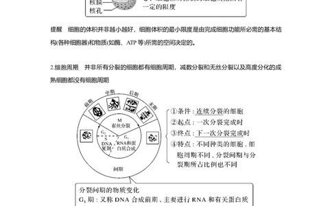 第10讲　细胞的增殖_新高考复习资料_2023年新高考复习资料_一轮复习_2023年新高考大一轮复习讲义_2023年高考生物一轮复习讲义（新人教新高考）_赠补充习题_Word版题库第二~六单元