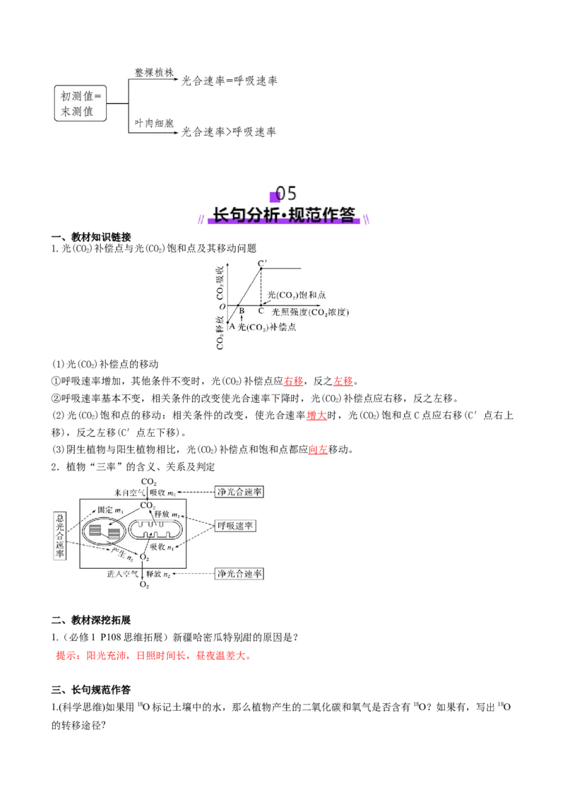 第11讲细胞代谢综合分析（讲义）（解析版）_2025年新高考资料_一轮复习_2025年高考生物一轮复习讲练测（新教材新高考）