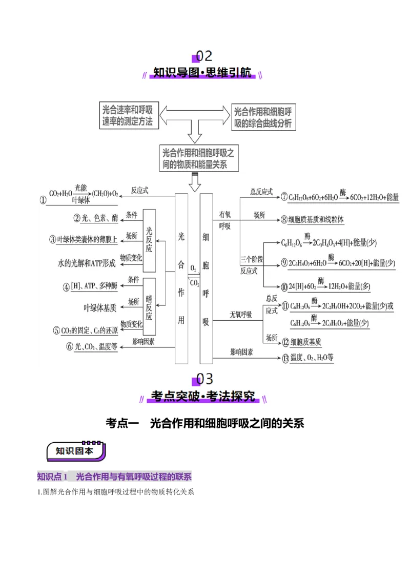 第11讲细胞代谢综合分析（讲义）（解析版）_2025年新高考资料_一轮复习_2025年高考生物一轮复习讲练测（新教材新高考）