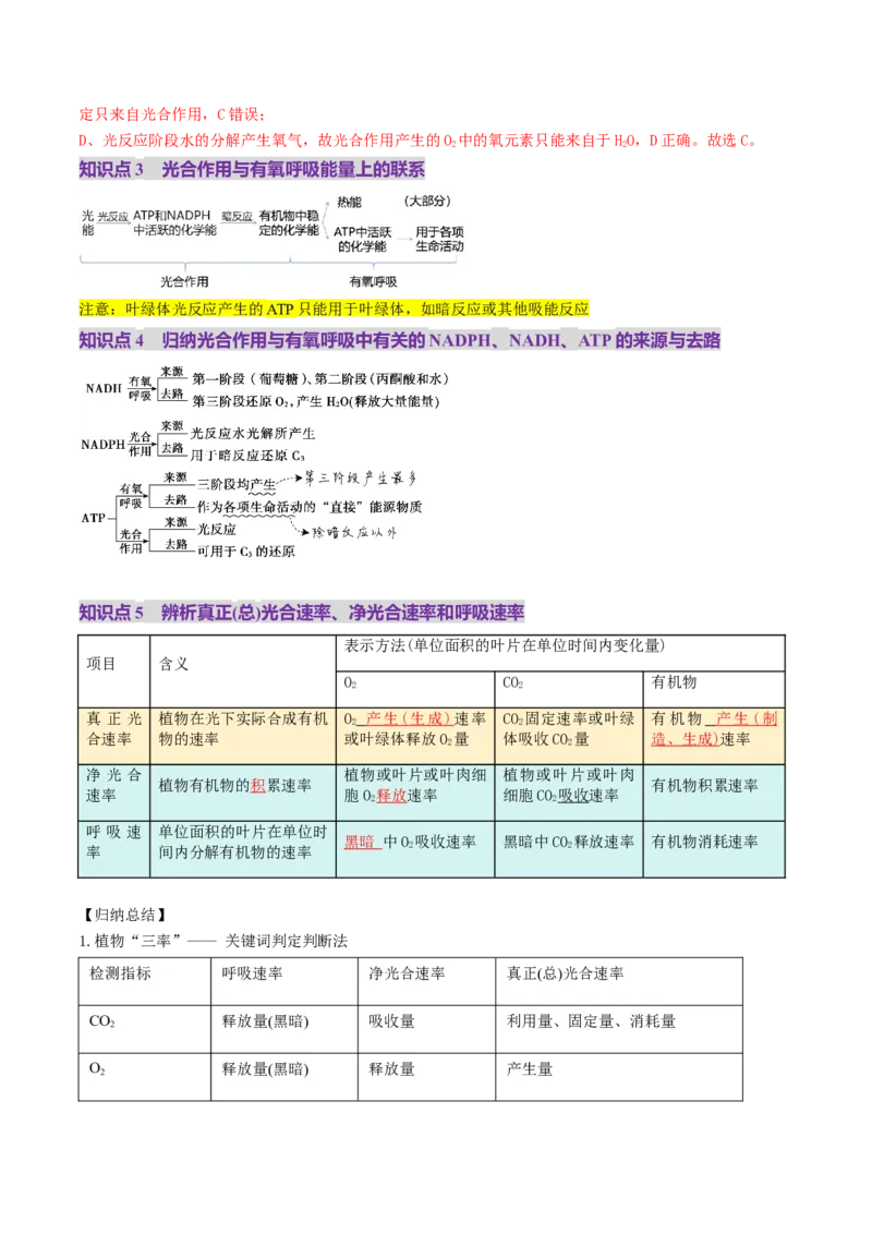 第11讲细胞代谢综合分析（讲义）（解析版）_2025年新高考资料_一轮复习_2025年高考生物一轮复习讲练测（新教材新高考）