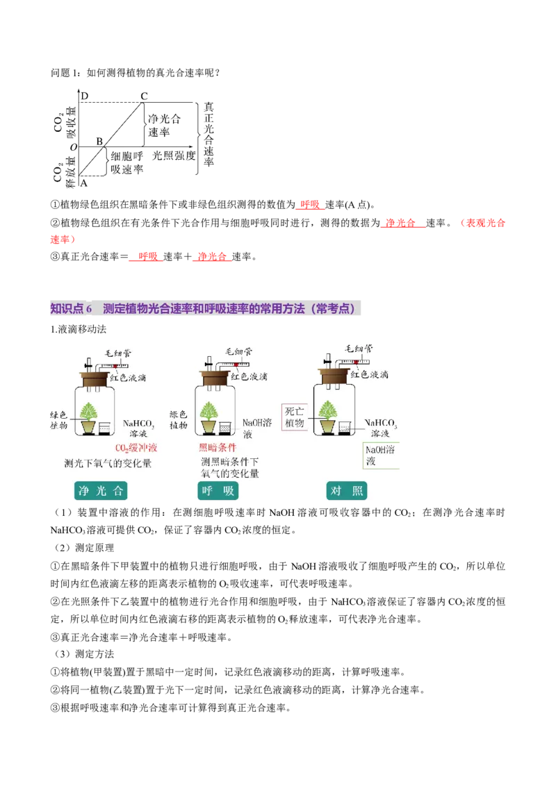第11讲细胞代谢综合分析（讲义）（解析版）_2025年新高考资料_一轮复习_2025年高考生物一轮复习讲练测（新教材新高考）