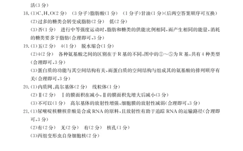 生物答案_2024年11月试卷_1129金太阳广西名校联盟2024-2025学年高一上学期11月期中教学质量检测_广西名校联盟2024-2025学年高一上学期11月期中阶段性考试生物试题含答案