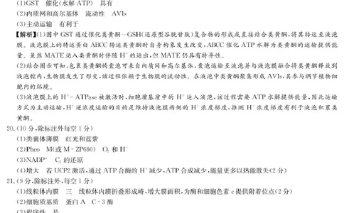 生物答案（高一入学Y）_2025年02月试卷_0228湖南省长沙市第一中学2024-2025学年高一下学期入学考试_湖南省长沙市第一中学2024-2025学年高一下学期入学考试生物试题（PDF版，含答案）