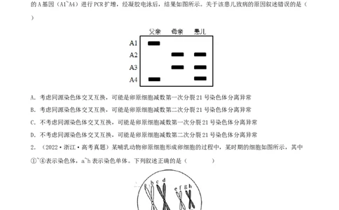 第11练减数分裂和受精作用（原卷版）_新高考复习资料_2023年新高考复习资料_一轮复习_2023年高考生物一轮复习小题多维练（新高考专用）
