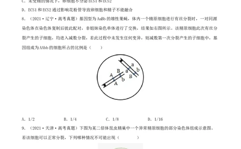 第11练减数分裂和受精作用（原卷版）_新高考复习资料_2023年新高考复习资料_一轮复习_2023年高考生物一轮复习小题多维练（新高考专用）