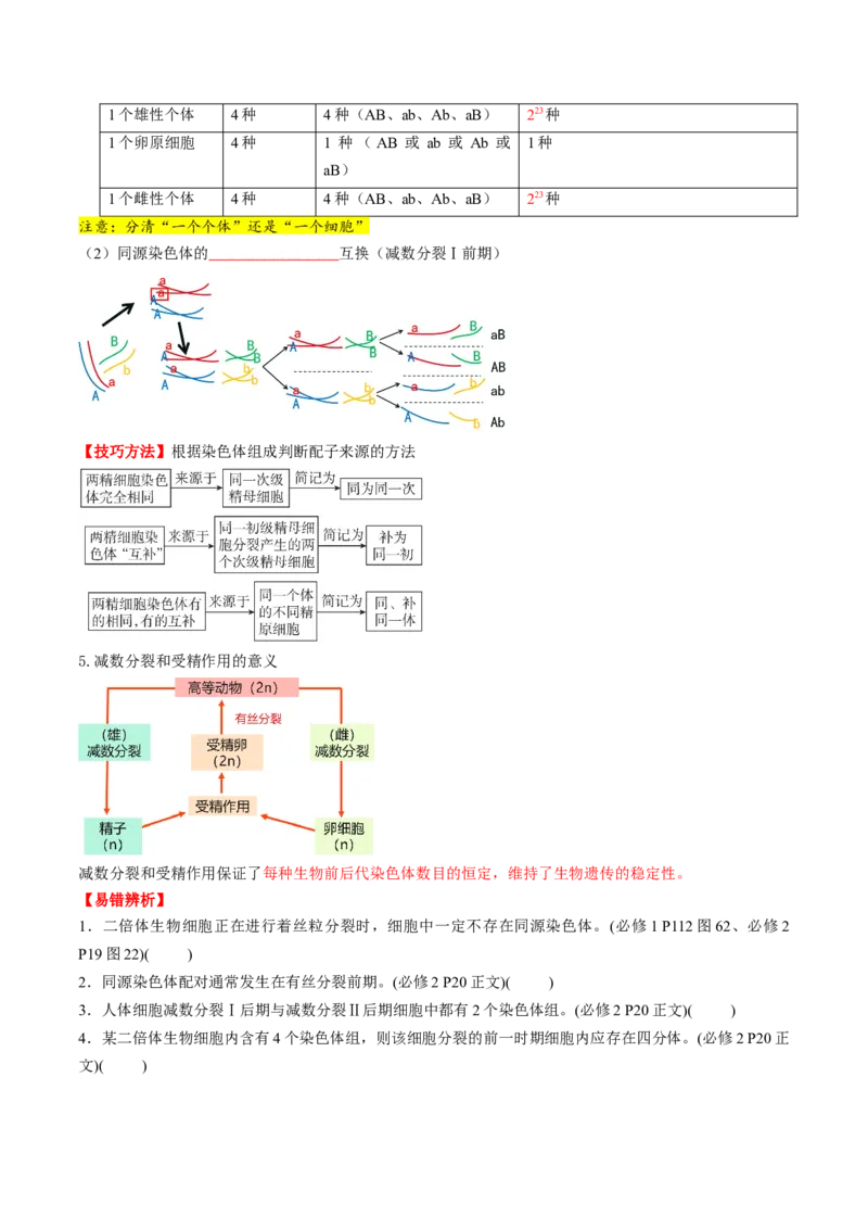 第13讲减数分裂和受精作用（讲义）（原卷版）_2025年新高考资料_一轮复习_2025年高考生物一轮复习讲练测（新教材新高考）