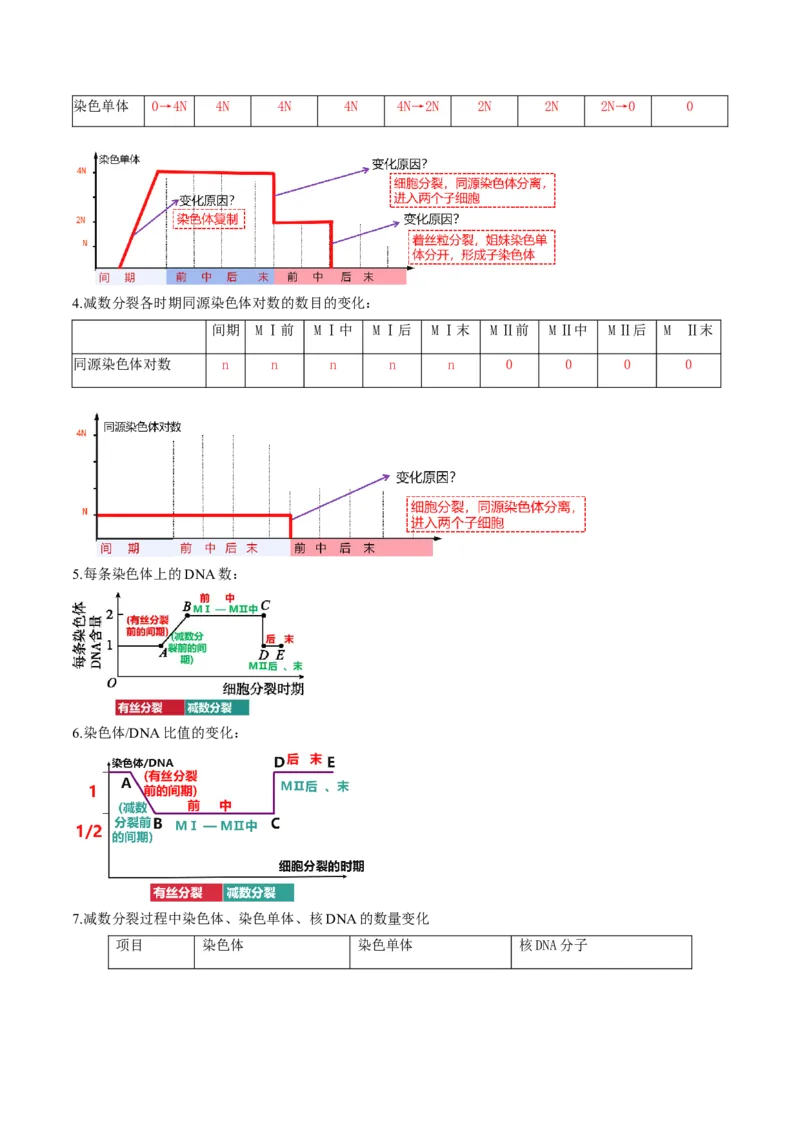 第13讲减数分裂和受精作用（讲义）（原卷版）_2025年新高考资料_一轮复习_2025年高考生物一轮复习讲练测（新教材新高考）