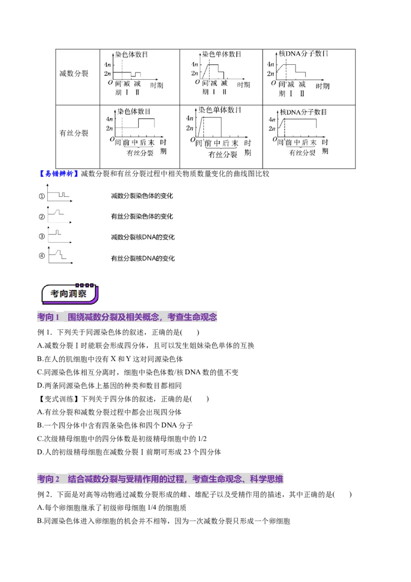 第13讲减数分裂和受精作用（讲义）（原卷版）_2025年新高考资料_一轮复习_2025年高考生物一轮复习讲练测（新教材新高考）