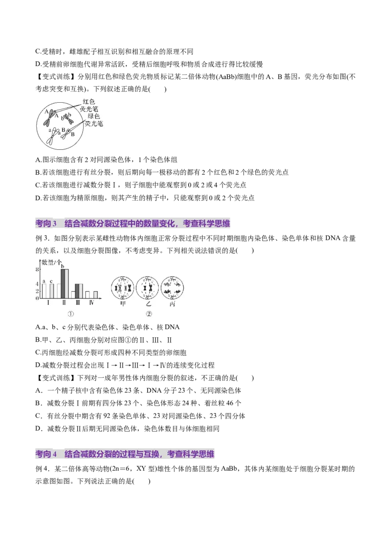 第13讲减数分裂和受精作用（讲义）（原卷版）_2025年新高考资料_一轮复习_2025年高考生物一轮复习讲练测（新教材新高考）