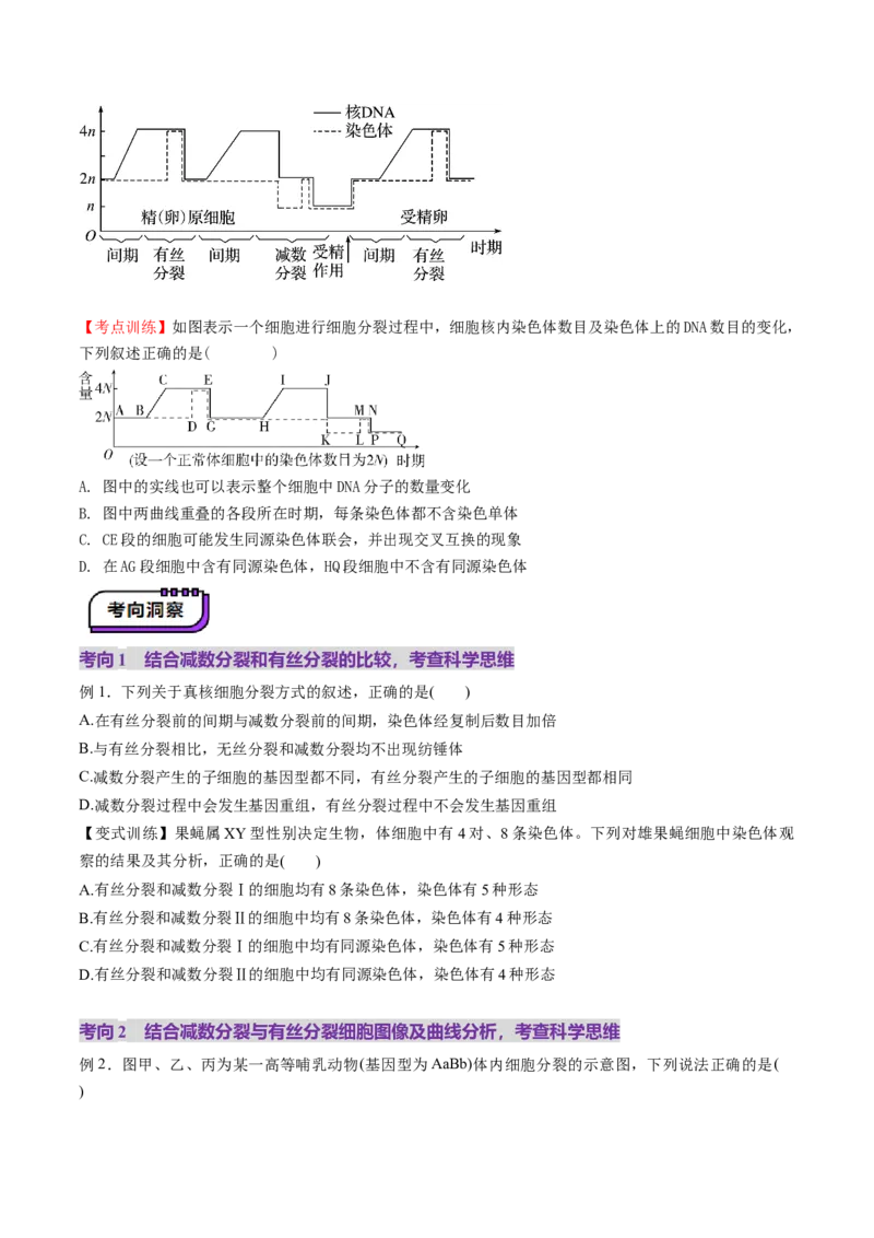 第13讲减数分裂和受精作用（讲义）（原卷版）_2025年新高考资料_一轮复习_2025年高考生物一轮复习讲练测（新教材新高考）