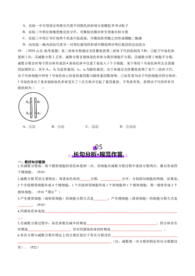 第13讲减数分裂和受精作用（讲义）（原卷版）_2025年新高考资料_一轮复习_2025年高考生物一轮复习讲练测（新教材新高考）