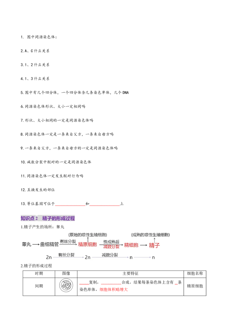 第13讲减数分裂和受精作用（讲义）（原卷版）_2025年新高考资料_一轮复习_2025年高考生物一轮复习讲练测（新教材新高考）
