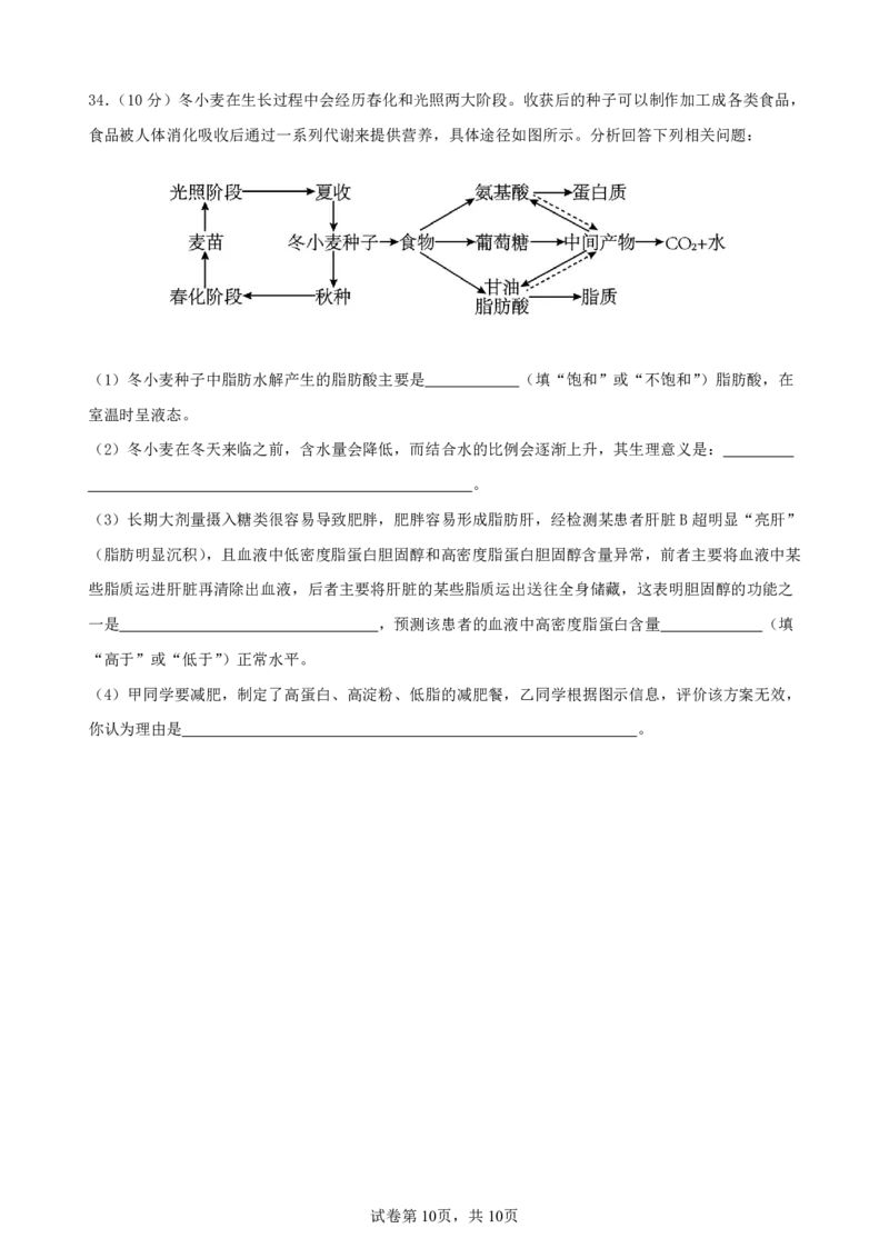 生物-辽宁省实验中学2025-2026学年度上学期高一10月月考_2025年10月高一试卷_251021辽宁省实验中学2025-2026学年度上学期高一10月月考（全）