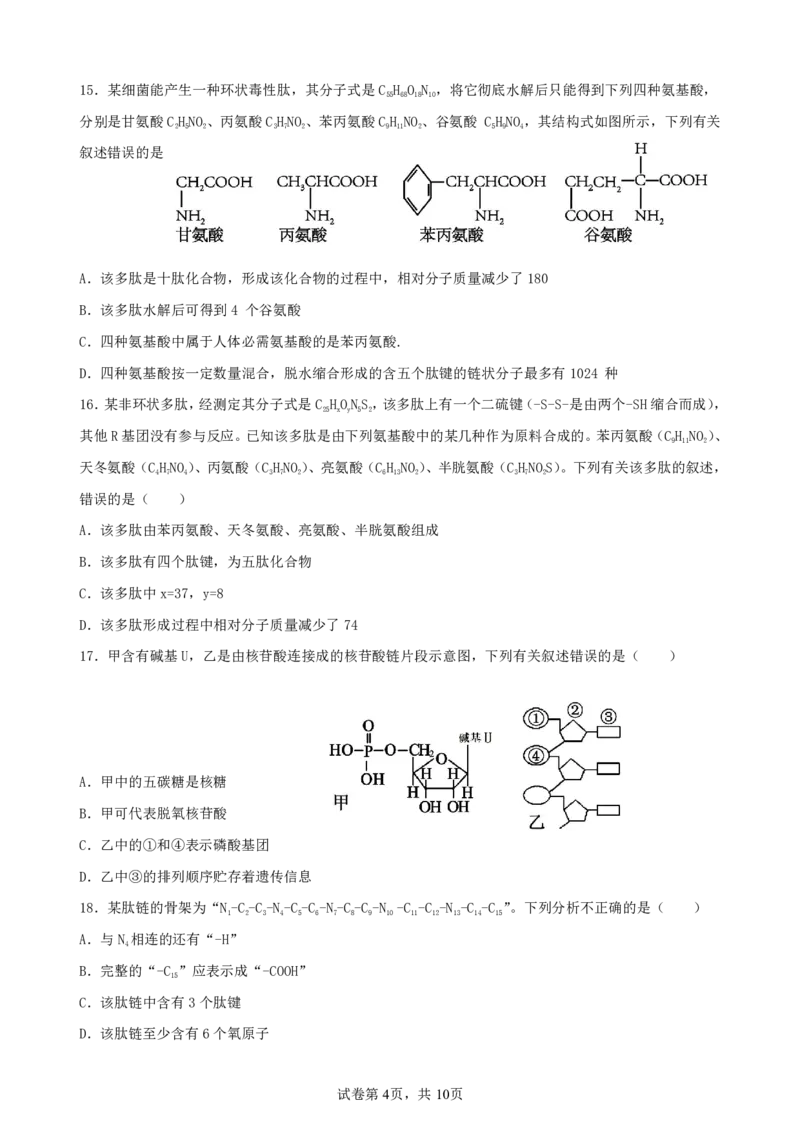 生物-辽宁省实验中学2025-2026学年度上学期高一10月月考_2025年10月高一试卷_251021辽宁省实验中学2025-2026学年度上学期高一10月月考（全）