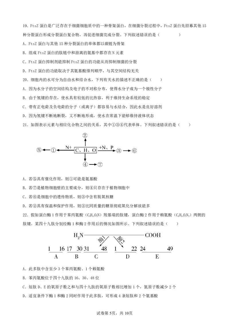 生物-辽宁省实验中学2025-2026学年度上学期高一10月月考_2025年10月高一试卷_251021辽宁省实验中学2025-2026学年度上学期高一10月月考（全）