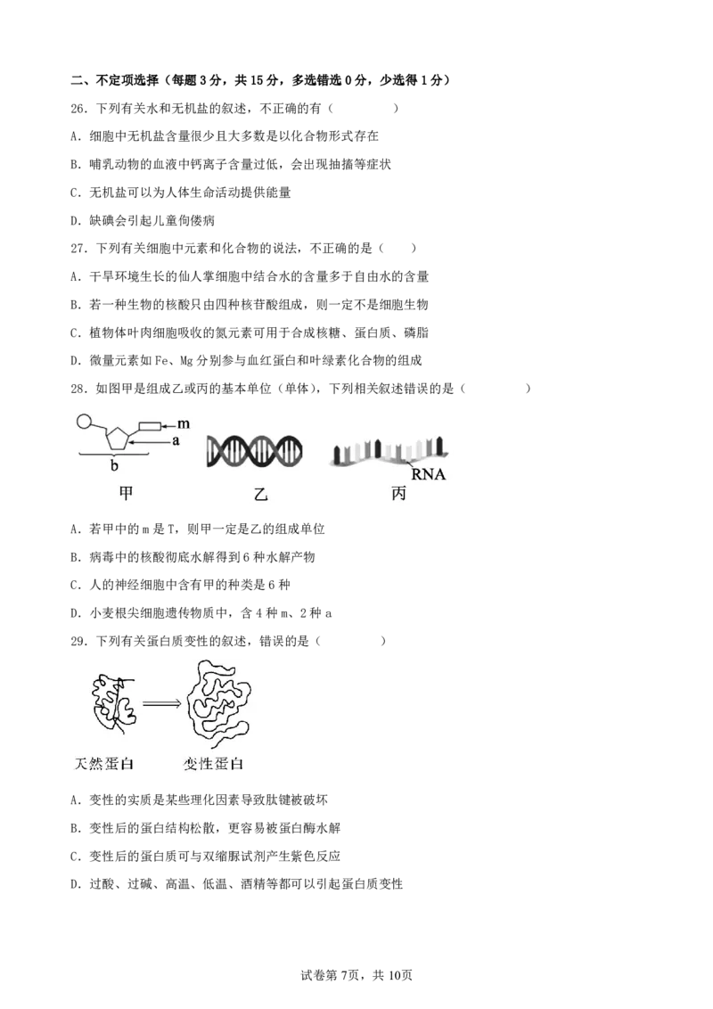 生物-辽宁省实验中学2025-2026学年度上学期高一10月月考_2025年10月高一试卷_251021辽宁省实验中学2025-2026学年度上学期高一10月月考（全）