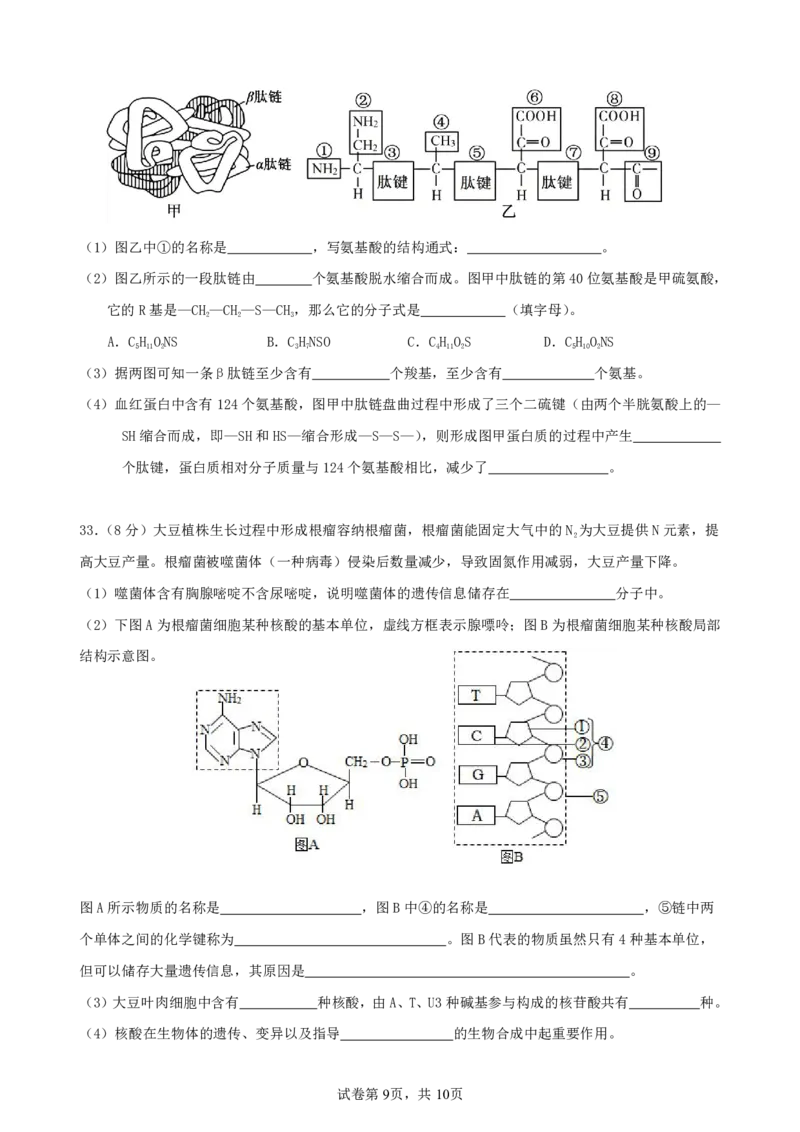 生物-辽宁省实验中学2025-2026学年度上学期高一10月月考_2025年10月高一试卷_251021辽宁省实验中学2025-2026学年度上学期高一10月月考（全）